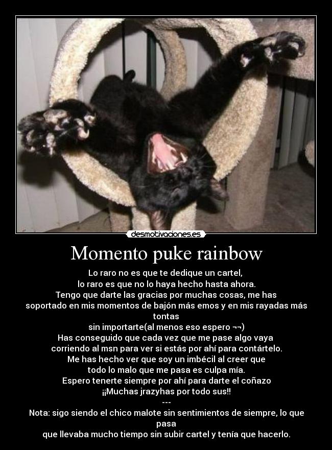 Momento puke rainbow - 