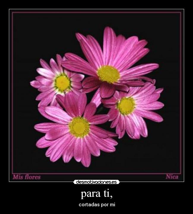 para ti, - cortadas por mi