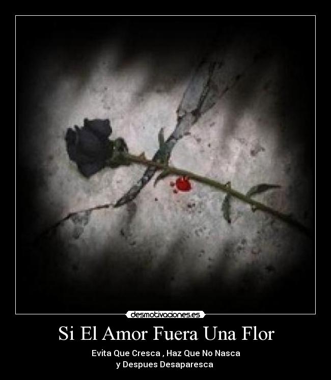 Si El Amor Fuera Una Flor -