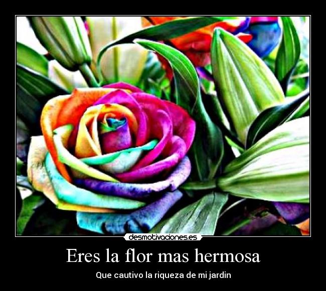 Eres la flor mas hermosa -