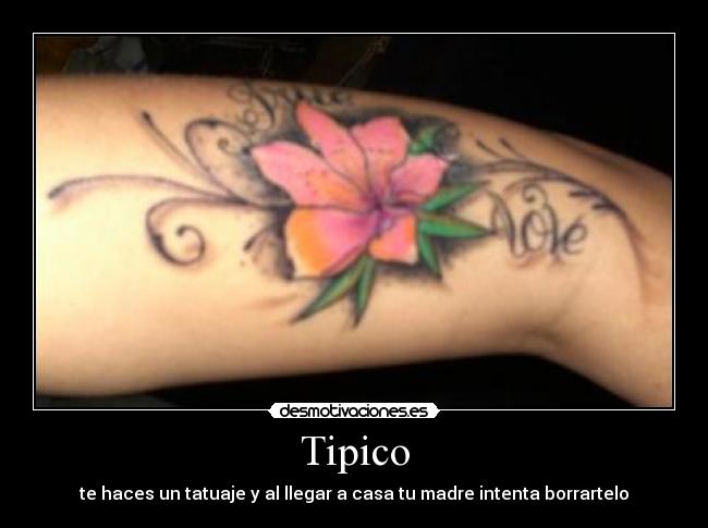 Tipico - 