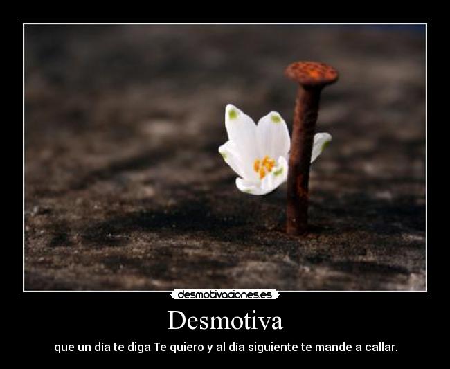 Desmotiva - que un día te diga Te quiero y al día siguiente te mande a callar.