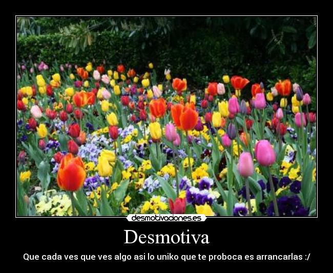 Desmotiva - Que cada ves que ves algo asi lo uniko que te proboca es arrancarlas :/
