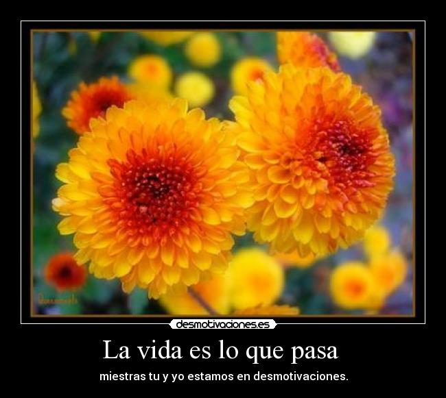 La vida es lo que pasa  - 