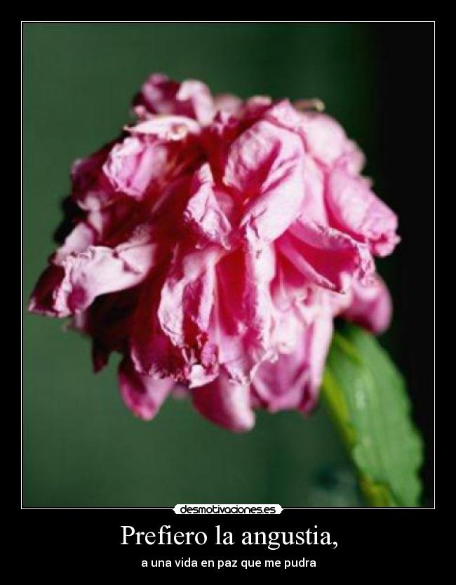 Prefiero la angustia, -