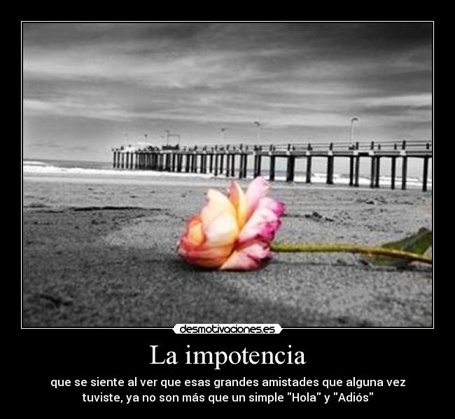 La impotencia - que se siente al ver que esas grandes amistades que alguna vez
tuviste, ya no son más que un simple Hola y Adiós