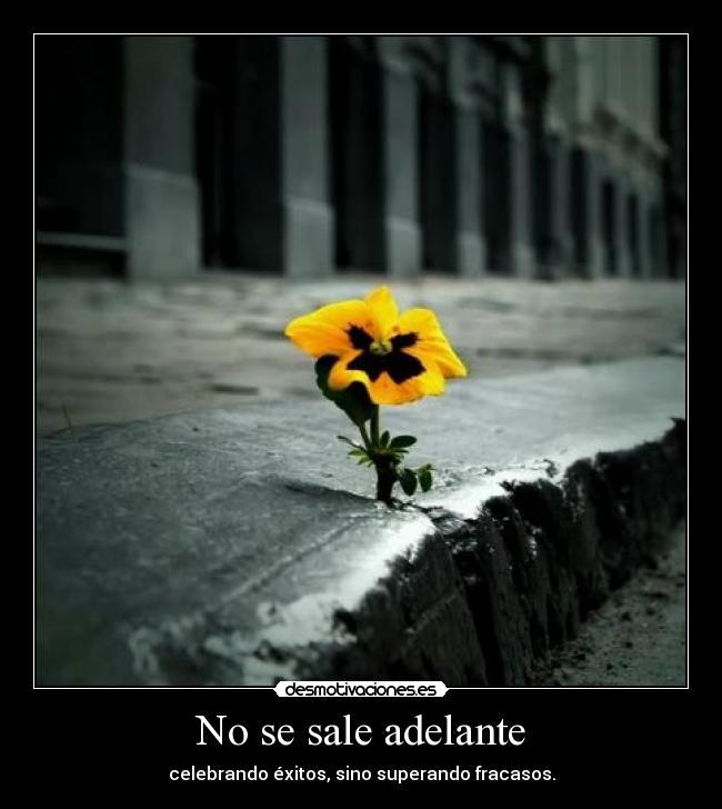 No se sale adelante - celebrando éxitos, sino superando fracasos.