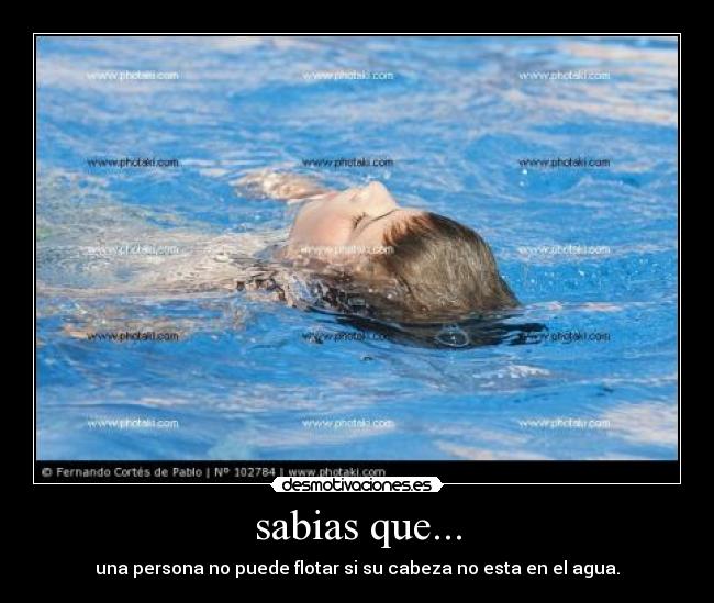 sabias que... - 