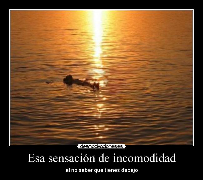 carteles sayol210809 desmotivaciones