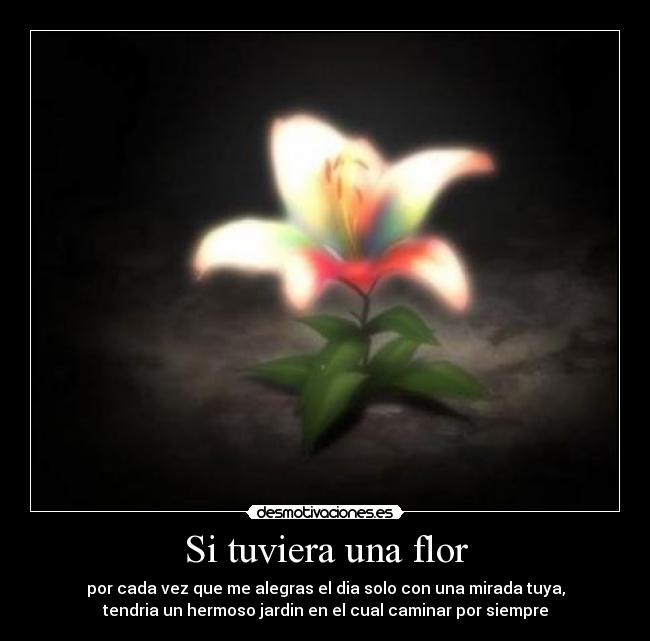 Si tuviera una flor - 