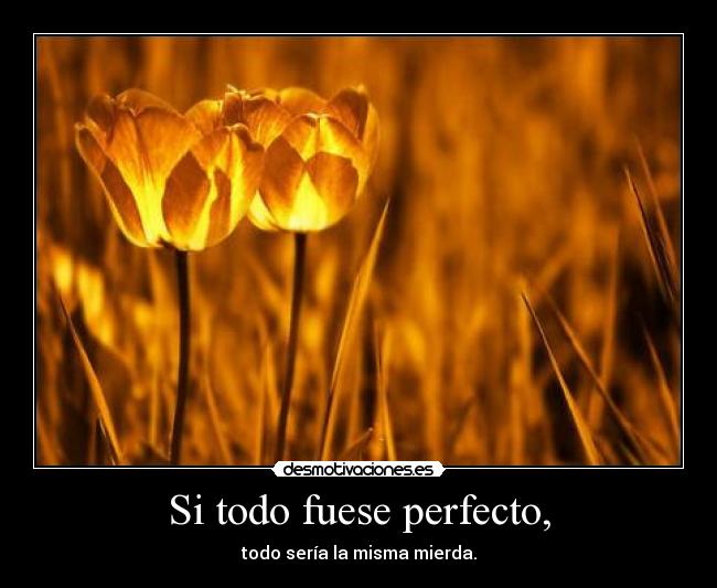Si todo fuese perfecto, -