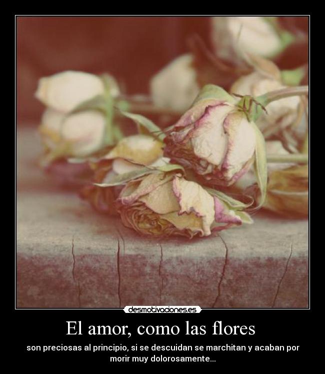 El amor, como las flores  - 