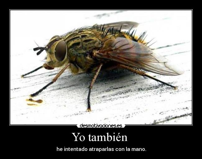 Yo también  - he intentado atraparlas con la mano.