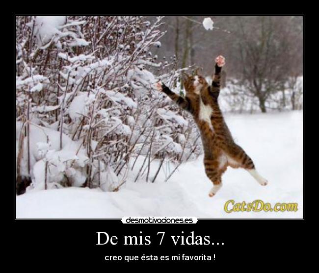 De mis 7 vidas... - 
