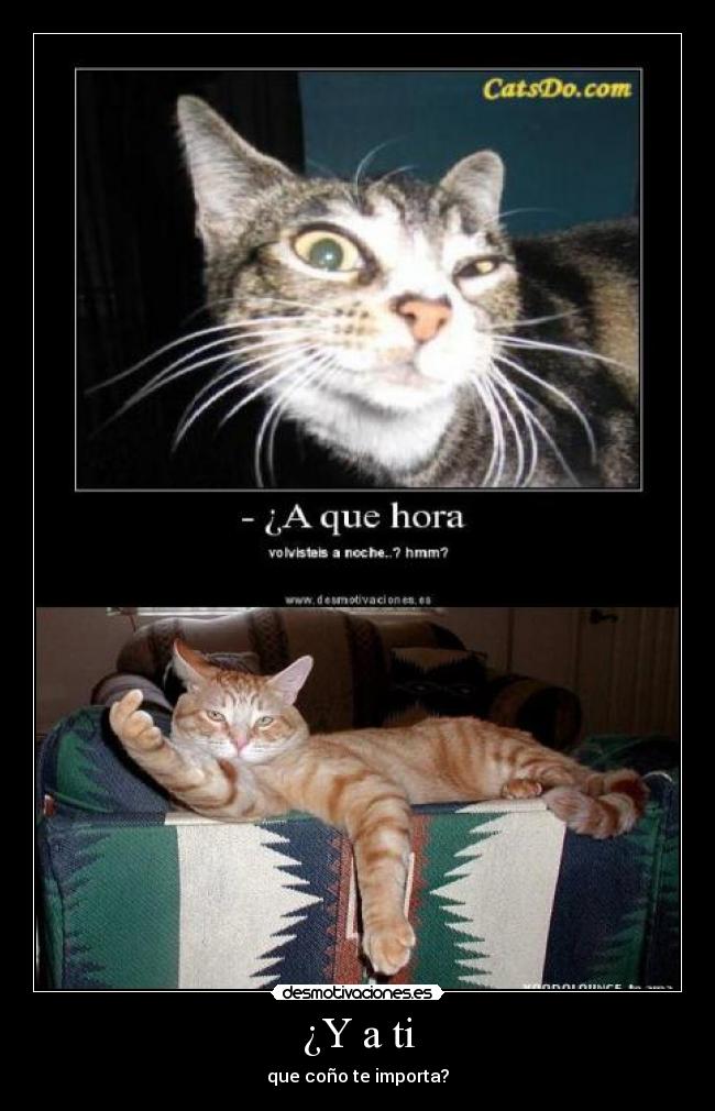¿Y a ti -