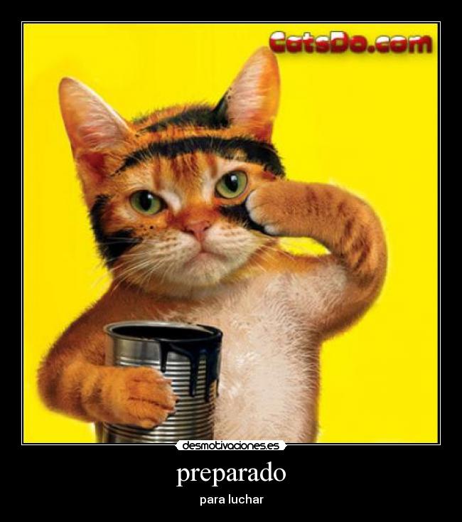 preparado - para luchar