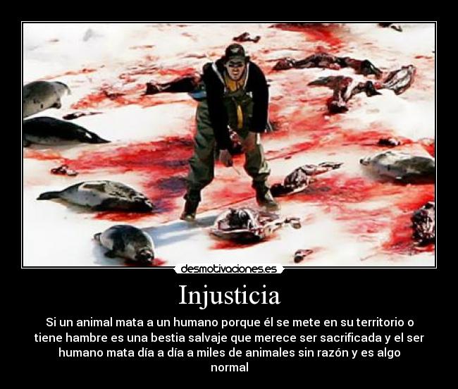 Injusticia -