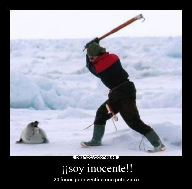 ¡¡soy inocente!! -