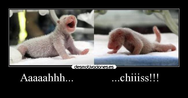 Aaaaahhh...             ...chiiiss!!!    - 