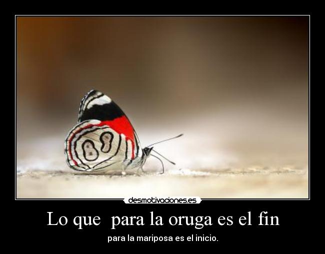 Lo que para la oruga es el fin -