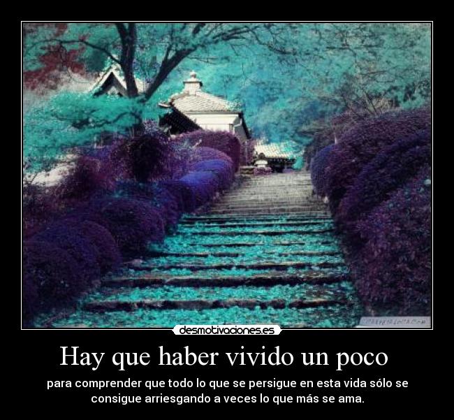 Hay que haber vivido un poco  - 