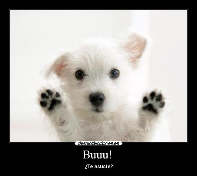 Buuu! -