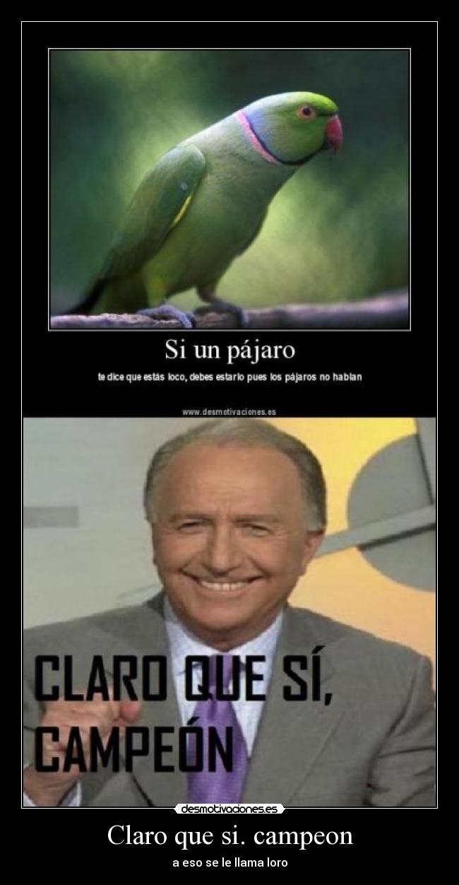 Claro que si. campeon - 