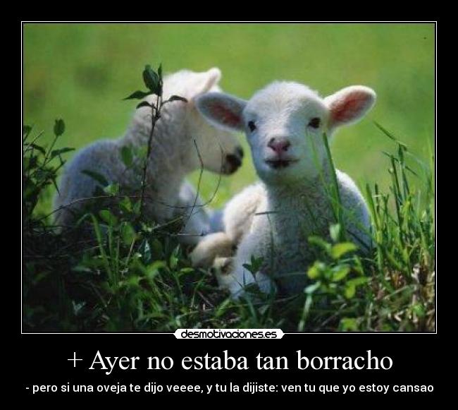 + Ayer no estaba tan borracho -