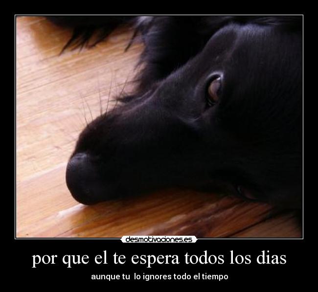 por que el te espera todos los dias - aunque tu lo ignores todo el tiempo