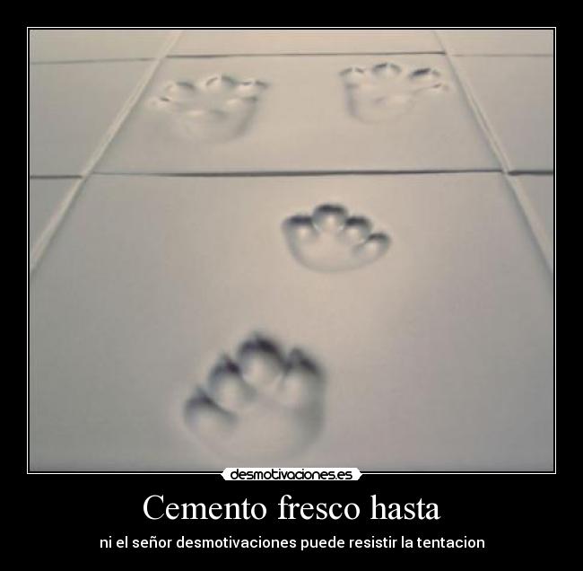 Cemento fresco hasta - ni el señor desmotivaciones puede resistir la tentacion
