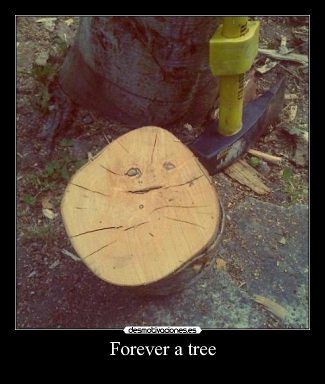 Forever a tree -