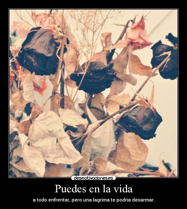 Puedes en la vida -
