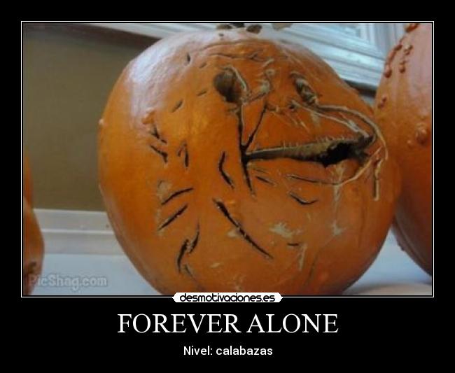 FOREVER ALONE -