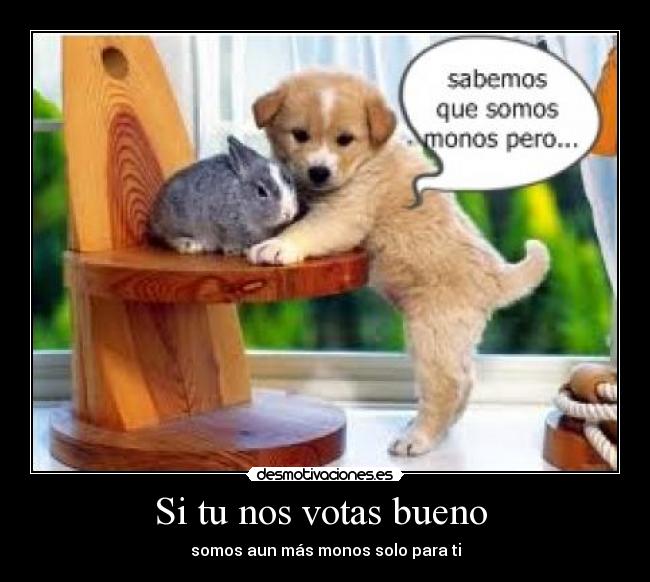 Si tu nos votas bueno - somos aun más monos solo para ti