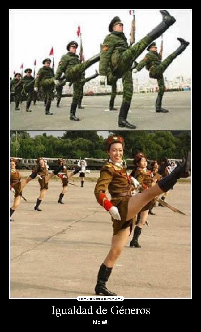 Igualdad de Géneros - 