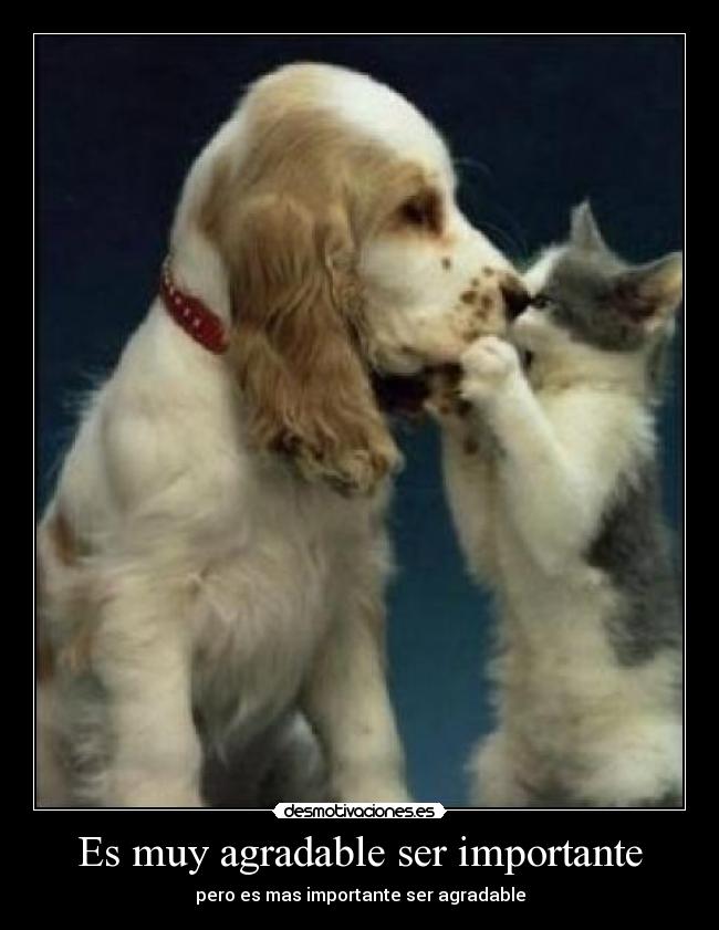 Es muy agradable ser importante -