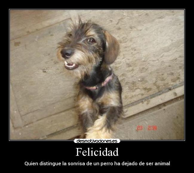 Felicidad -
