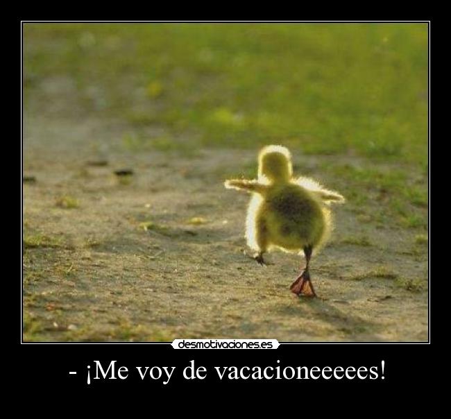 - ¡Me voy de vacacioneeeees! -