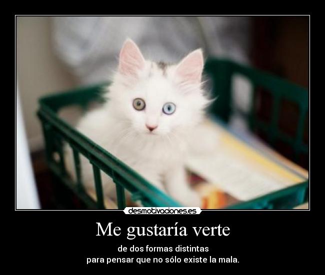 Me gustaría verte -