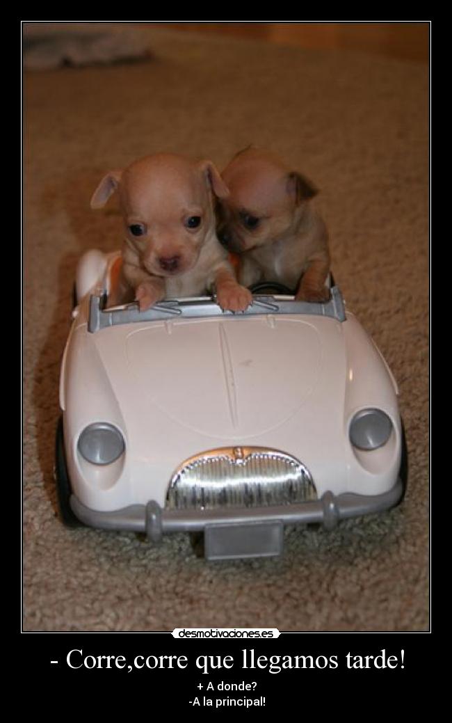 - Corre,corre que llegamos tarde! -