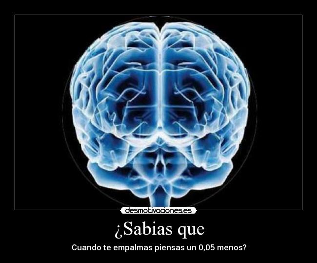 ¿Sabias que - Cuando te empalmas piensas un 0,05 menos?