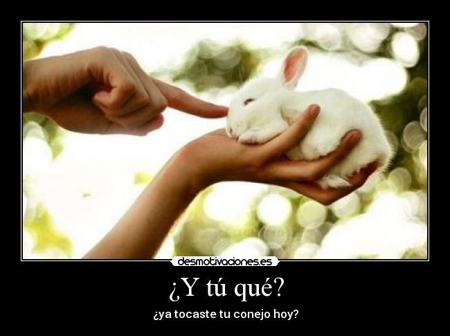 ¿Y tú qué? -