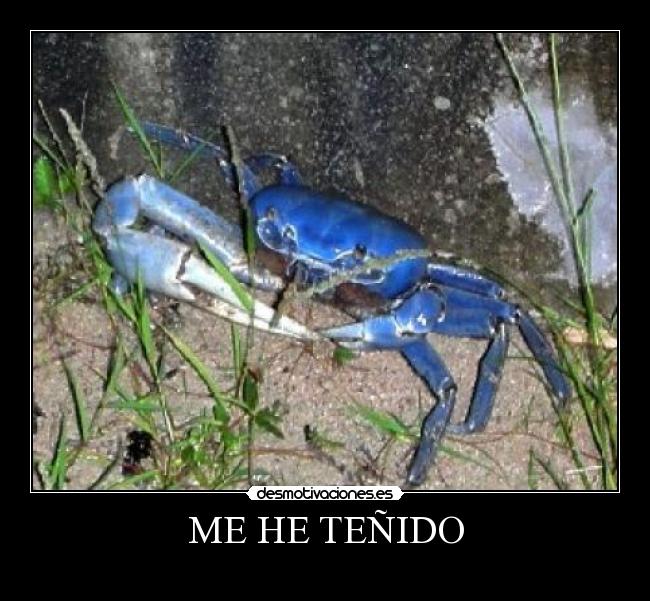 ME HE TEÑIDO - 
