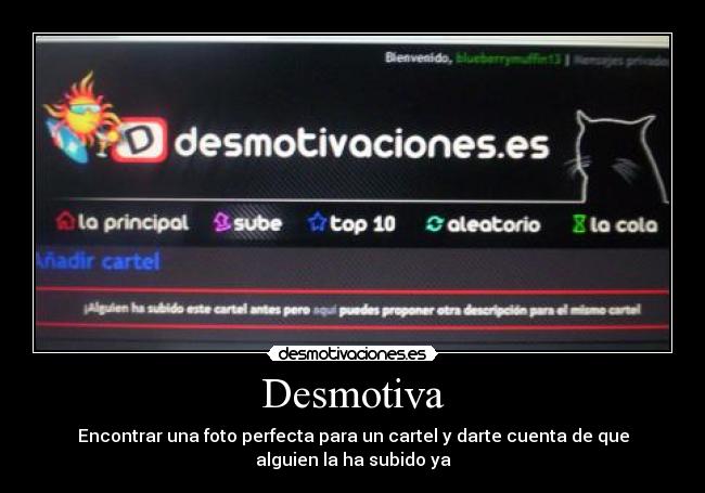 Desmotiva - Encontrar una foto perfecta para un cartel y darte cuenta de que
alguien la ha subido ya