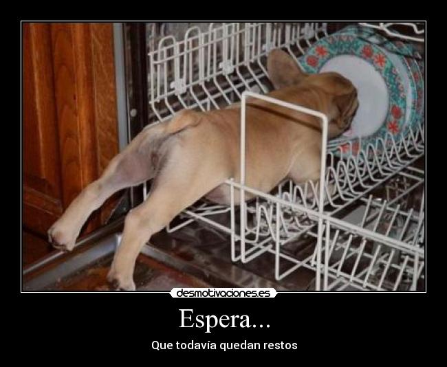 Espera... -