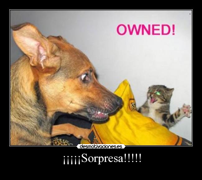 ¡¡¡¡¡Sorpresa!!!!! - 