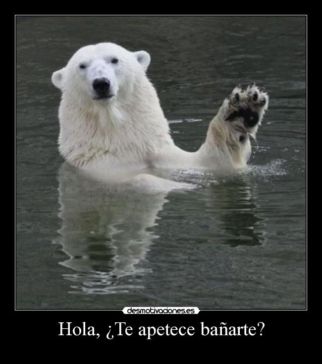 Hola, ¿Te apetece bañarte? -
