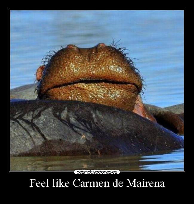 Feel like Carmen de Mairena - 