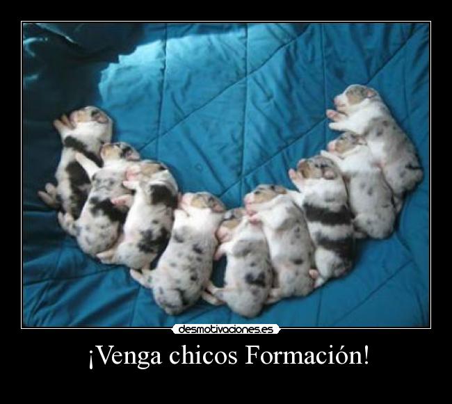 carteles skinete desmotivaciones