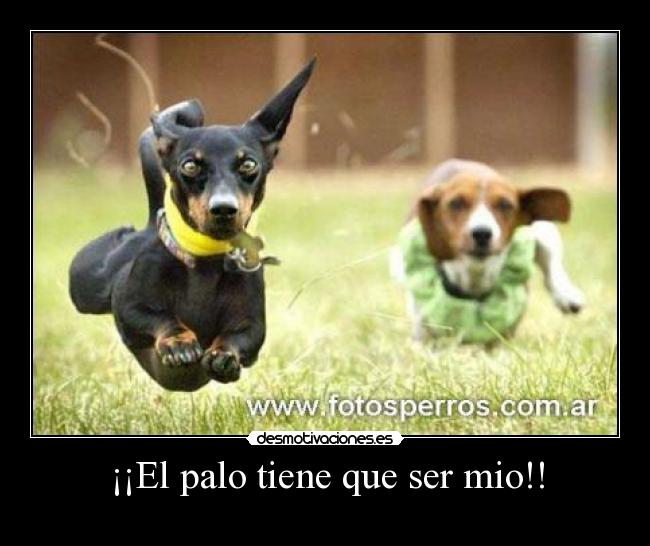 ¡¡El palo tiene que ser mio!! -